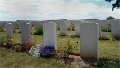 Phoques Berck_19-05-31_008_.jpg