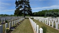 Phoques Berck_19-05-31_012_.jpg