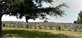 Phoques Berck_19-05-31_018_.jpg